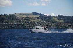 @血舞crazy-lol押注网站